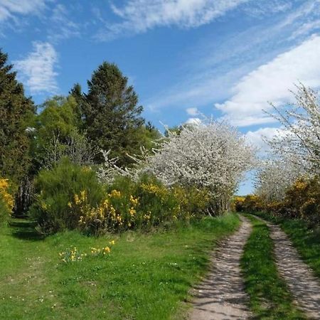 Lower Bruntlands Fochabers Luaran gambar